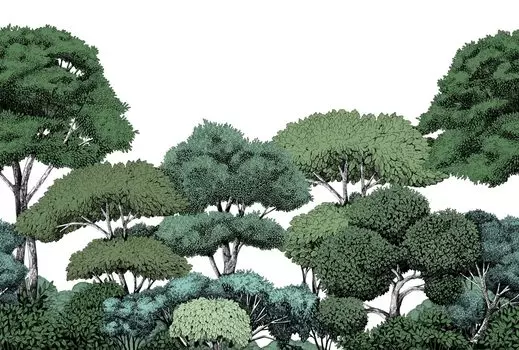 Дизайнерские обои Hyggewood Green