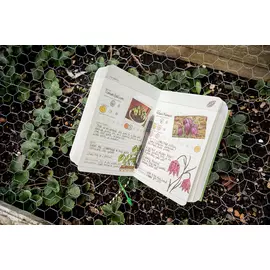 Дневник садовода my Gardening черный 300 страниц