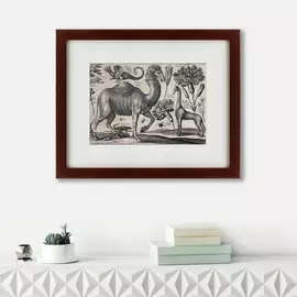 Картина a Camel 1670 г.