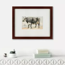 Картина a Friesian Bull 1780 г.