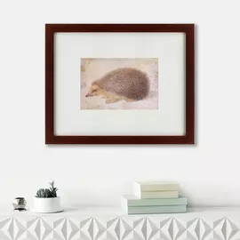 Картина a Hedgehog 1584 г.