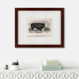 Картина a Hereford Bull 1849 г.