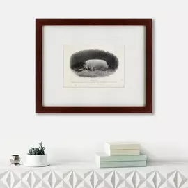 Картина a Prize Boar 1867 г.