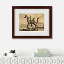 Картина a Saxon Horse 1575 г.