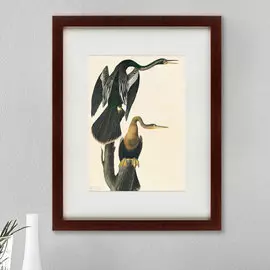 Картина американская змеешейка литография 1822 г.