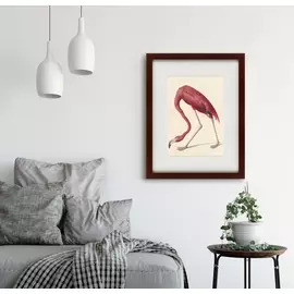 Картина американский фламинго 1822 г.