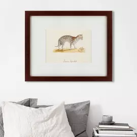 Картина an Ocelot 1801 г.