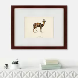 Картина Antilope Guib 1871 г.