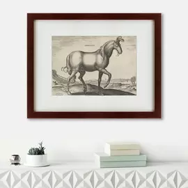 Картина Armenius 1583 г.