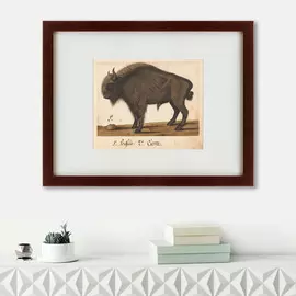 Картина Bison 1560 г.