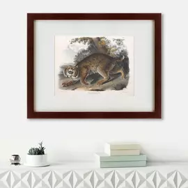 Картина Bobcat 1839 г.