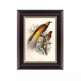 Картина большая райская птица 1880 г.