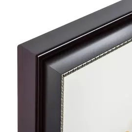 Картина большой тукан 1806 г.