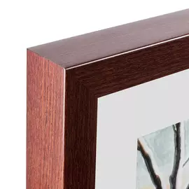 Картина Brown Owl 1760 г.