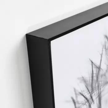 Картина Calantha одуванчик на холсте 40х30 см