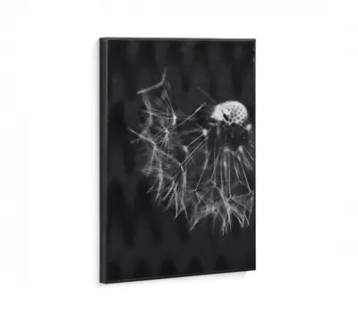 Картина Calantha одуванчик на холсте 70х50 см