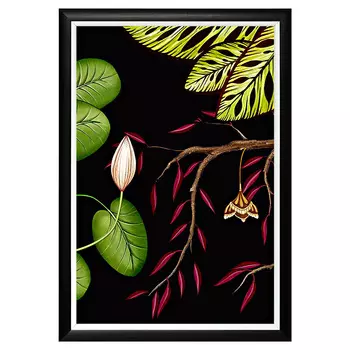 Картина чудесный сад в черно-белой раме