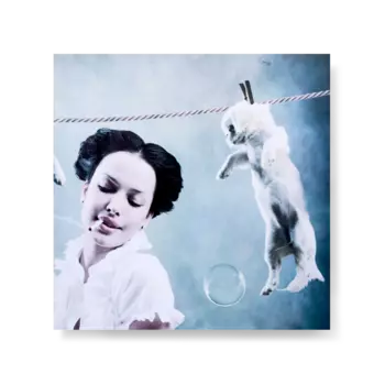 Картина Doggy Wash из четырех частей