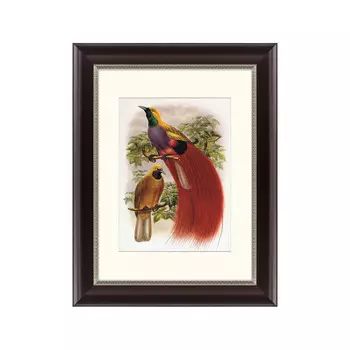 Картина гольдиева райская птица 1884 г.