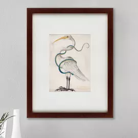 Картина Heron Encircled by a Snake 1700 г.