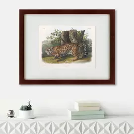 Картина Jaguar 1841 г.