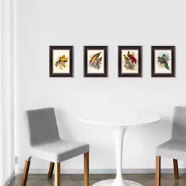 Картина красная райская птица 1880 г.