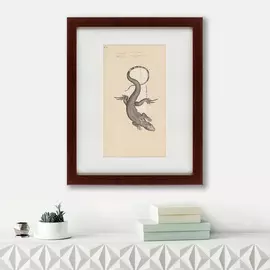 Картина Lucertola 1789 г.