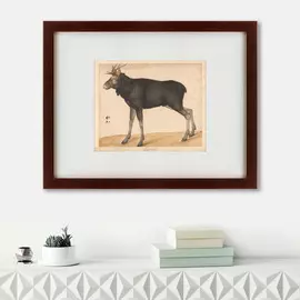 Картина Moose 1560 г.
