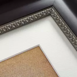 Картина морской обитатель наутилус 1879 г.