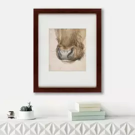 Картина Muzzle of an ox Seen From The Front 1527 г.