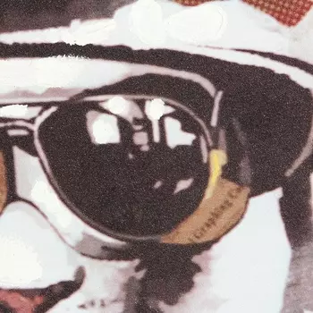 Картина на холсте Slow Leopard с подрамником 52х52