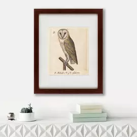 Картина One Owl 1560 г.