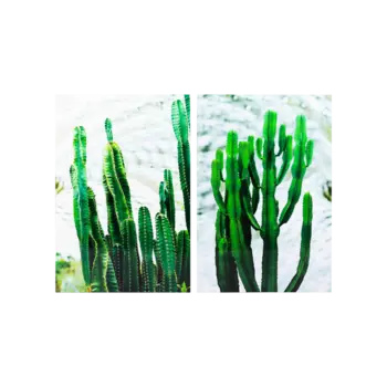 Картина Peyote, из 2-х частей 90x120