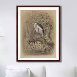 Картина птица у озера 1890 г.