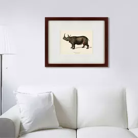 Картина Rhinoceros Ancienne Gravure 1849 г.