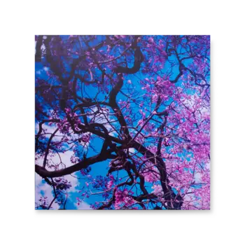 Картина Sakura из четырех частей