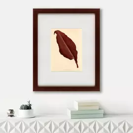 Картина The Dark Red Leaf 1881 г.