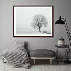 Картина The White Kingdom