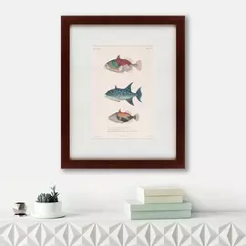 Картина Tropical Fish 1830 г.