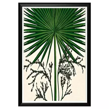 Картина тропический веер в черно-белой раме