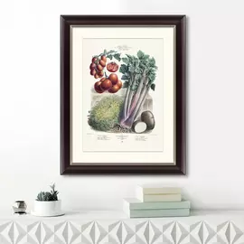 Картина Vilmorin Andrieux &amp;Amp; Cie альбом №37 1886 г.