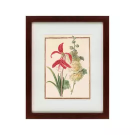 Картина Watercolor Over Pencil Etude №5 1750 г.