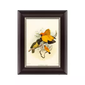 Картина золотые райские птицы 1885 г.