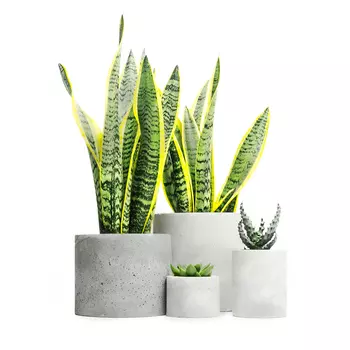 Кашпо цилиндр s натуральный бетон