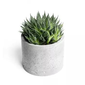 Кашпо цилиндр xl