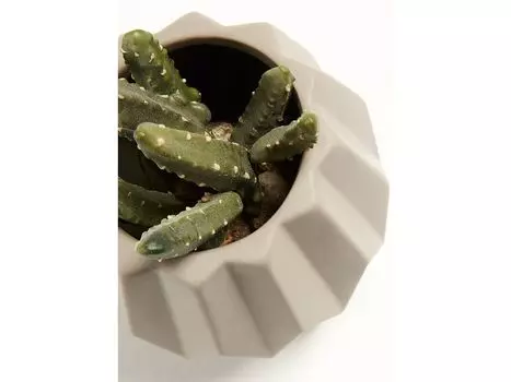 Кашпо Lineal бежевого цвета