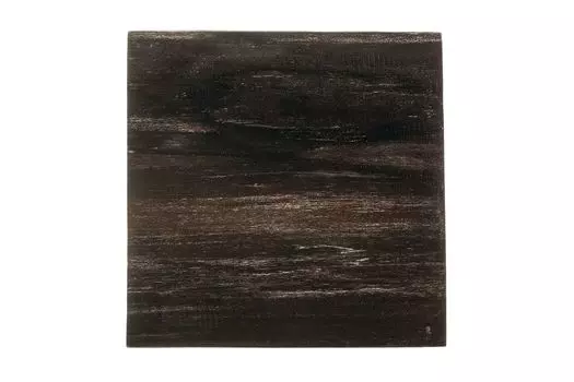 Кофейный столик таланго из окаменелого дерева 381875