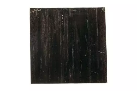 Кофейный столик таланго из окаменелого дерева 381878