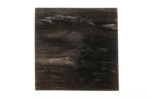 Кофейный столик таланго из окаменелого дерева 381884