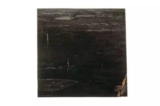 Кофейный столик таланго из окаменелого дерева 381885